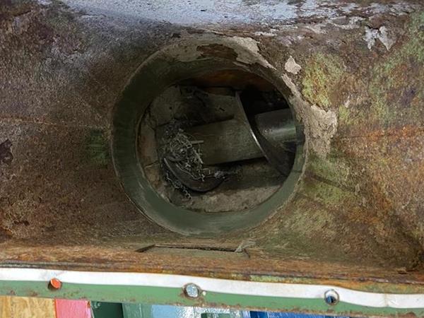 Coclea per estrazione FIDA - Foto 2
