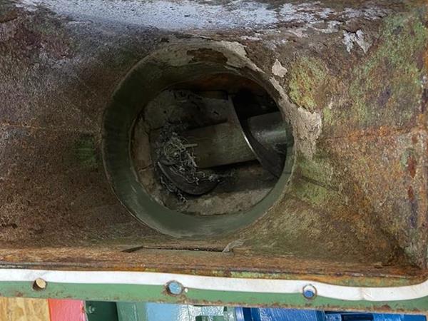 Coclea per estrazione FIDA - Foto 2