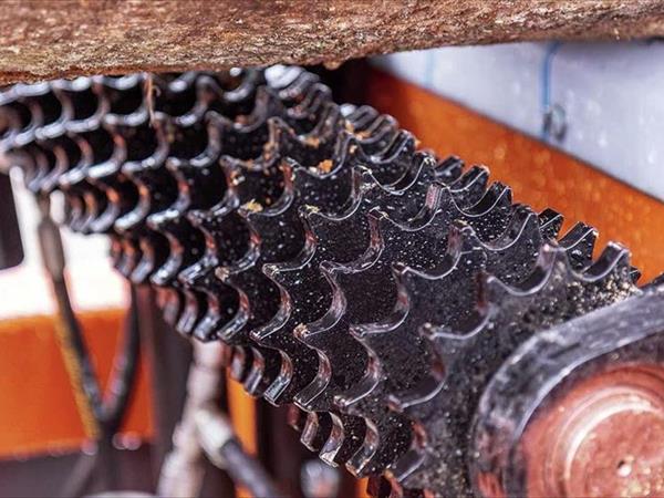 Segatronchi per falegnameria alta produzione - Foto 2
