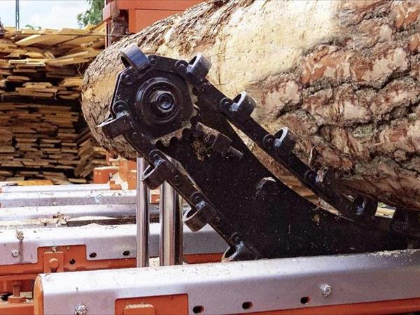 Sierra de cinta para troncos para carpintería de alta producción - Foto 2