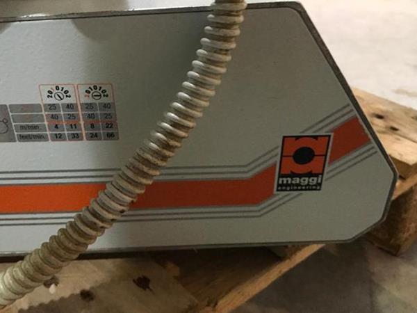 Trascinatore Maggi 4R  - Foto 2